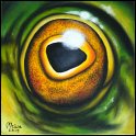 Augenblick eines europäischen Laubfrosches; Acryl auf Leinwand;
30 x 30 cm
